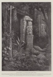 Verleden en Heden, in een Nicaraguaans Bos, Midden-Amerika